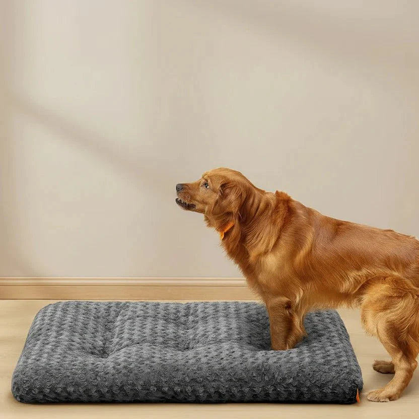 Cozy Orthopedic Dog Bed - Pawsitive Comfort