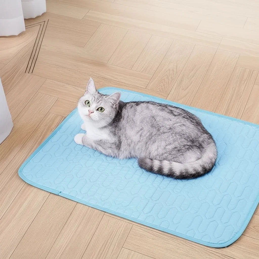 Cooling Pet Mat - ChillPaws Premium Comfort for All Pets