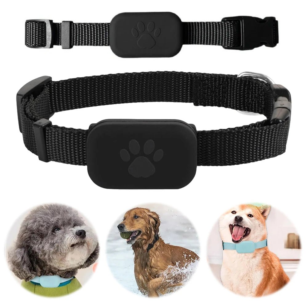 Smart GPS Pet Tracker - Pawsitive Tech