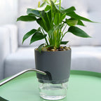 Self-Watering Plant Pot - VerdantEase