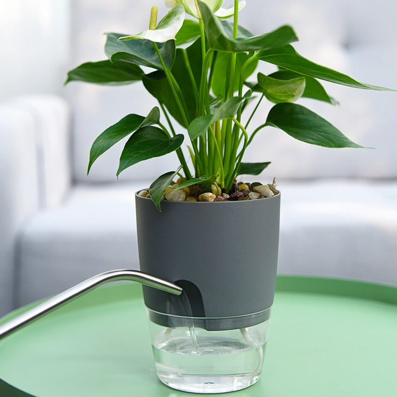 Self-Watering Plant Pot - VerdantEase
