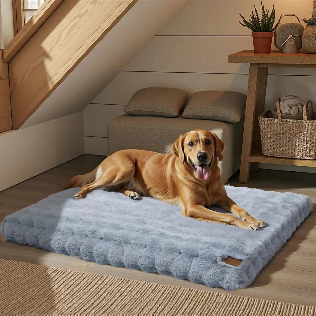 Calming Pet Bed for Dogs & Cats - CozyNest