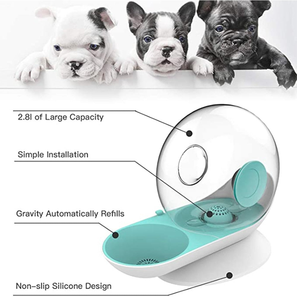 AquaFlow Pet Water Bowl - PurePaws