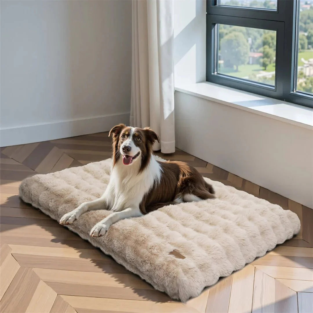 Calming Pet Bed for Dogs & Cats - CozyNest