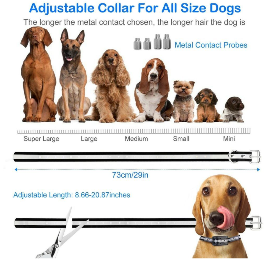 Invisible Wireless Dog Fence System - PetGuard Pro