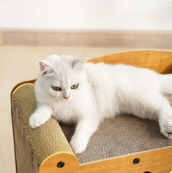 Cat House with Integrated Play Area - Purrfect Haven