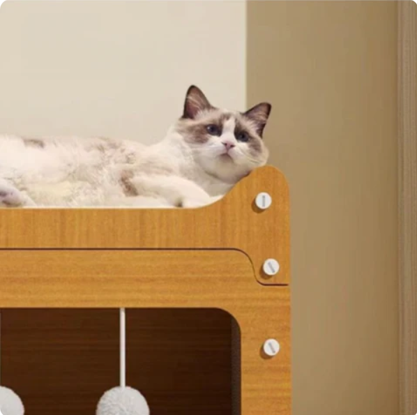 Cat House with Integrated Play Area - Purrfect Haven