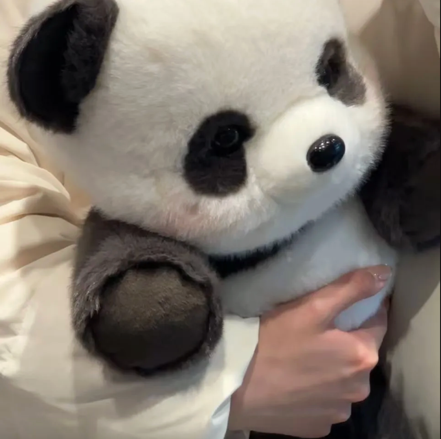 Cozy Panda Plush - SnuggleNest™ Soft Toy