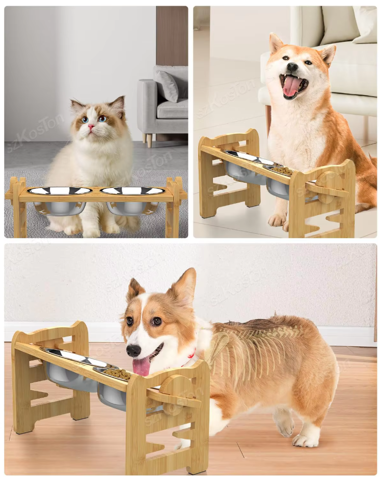 Elevated Pet Feeding Station - Pawsitive Comfort