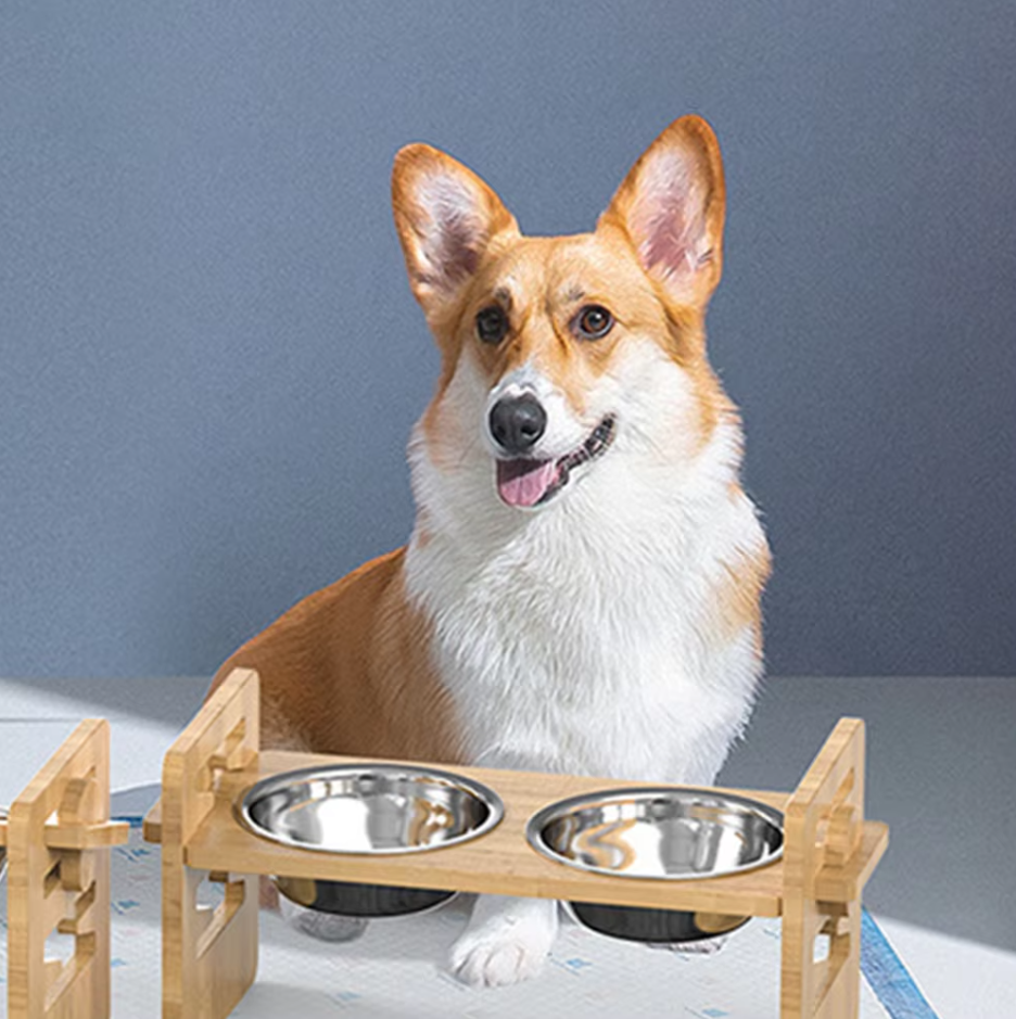 Elevated Pet Feeding Station - Pawsitive Comfort