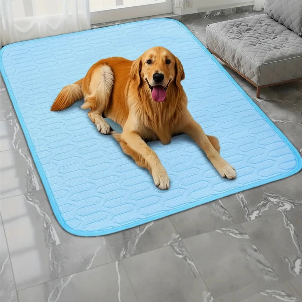 Cooling Pet Mat - ChillPaws Premium Comfort for All Pets