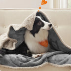 Cozy Pet Blanket - LuxePaws