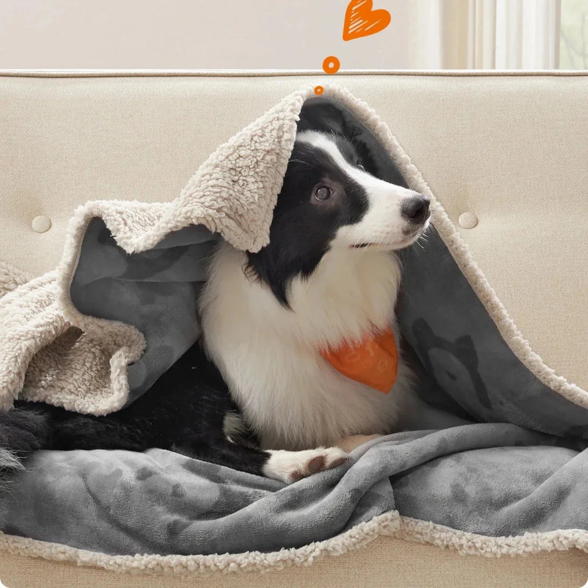 Cozy Pet Blanket - LuxePaws