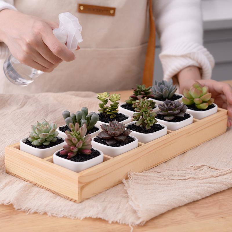 Mini Planter Tray Set - Verdant Home Essentials