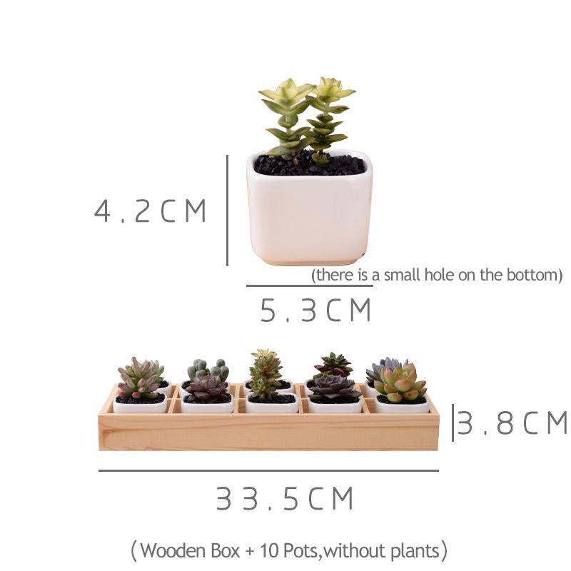Mini Planter Tray Set - Verdant Home Essentials