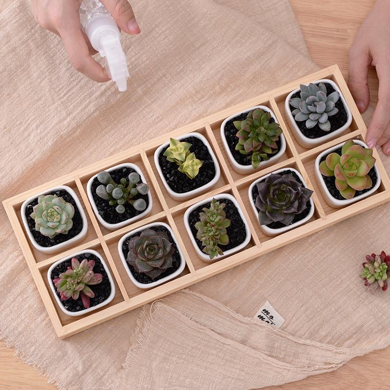 Mini Planter Tray Set - Verdant Home Essentials
