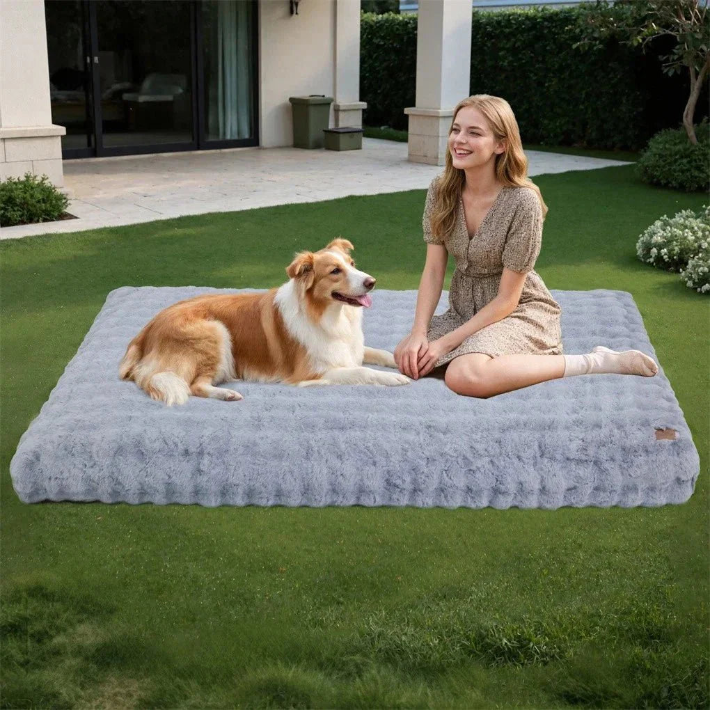 Calming Pet Bed for Dogs & Cats - CozyNest
