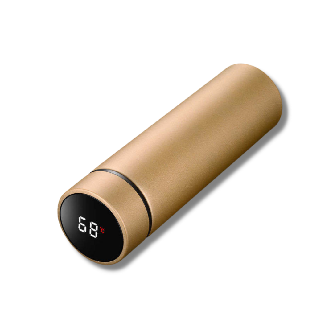 Smart Thermos Bottle with Temperature Display - AquaSense