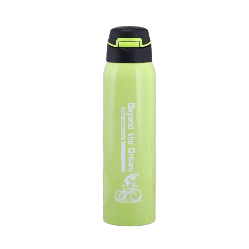 HydroGuard - Premium Vacuum Stainless Steel Water Bottle 500ml