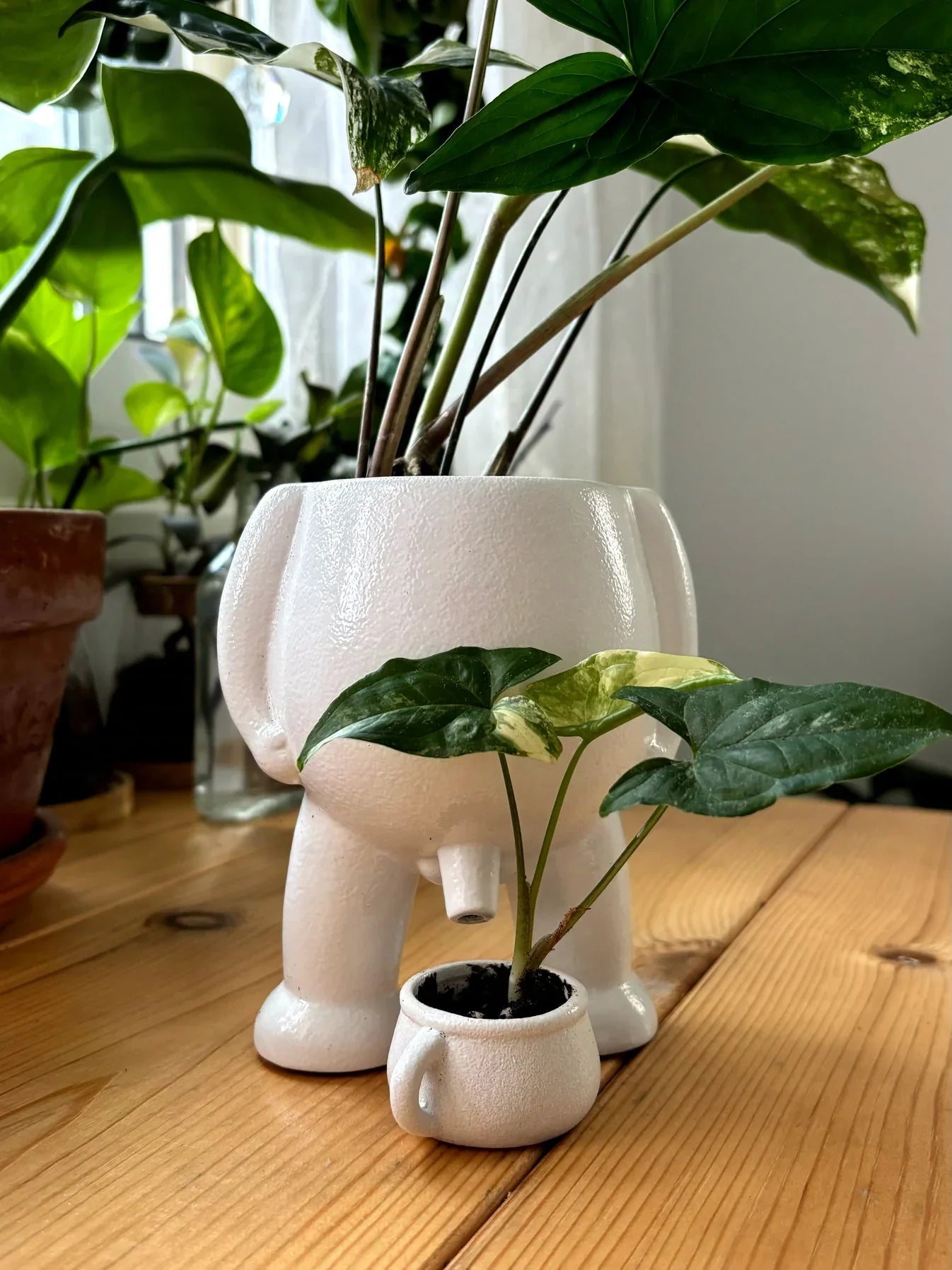 Naughty Planter - GreenThumb Elegance