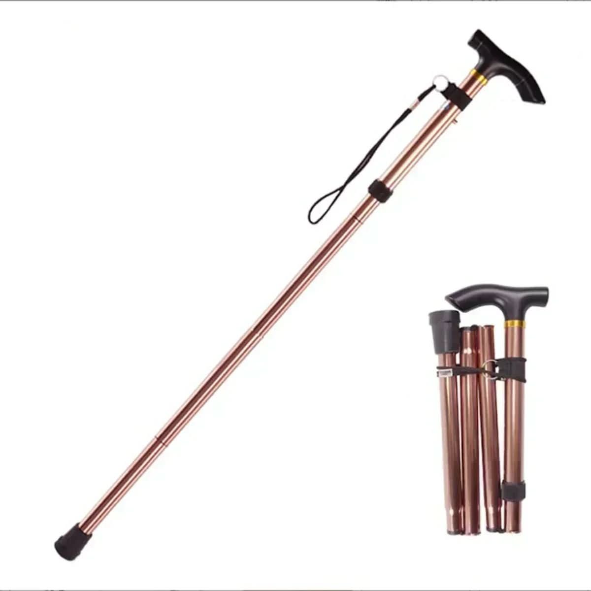 Trekking Pole for Stability - Elevate Gear