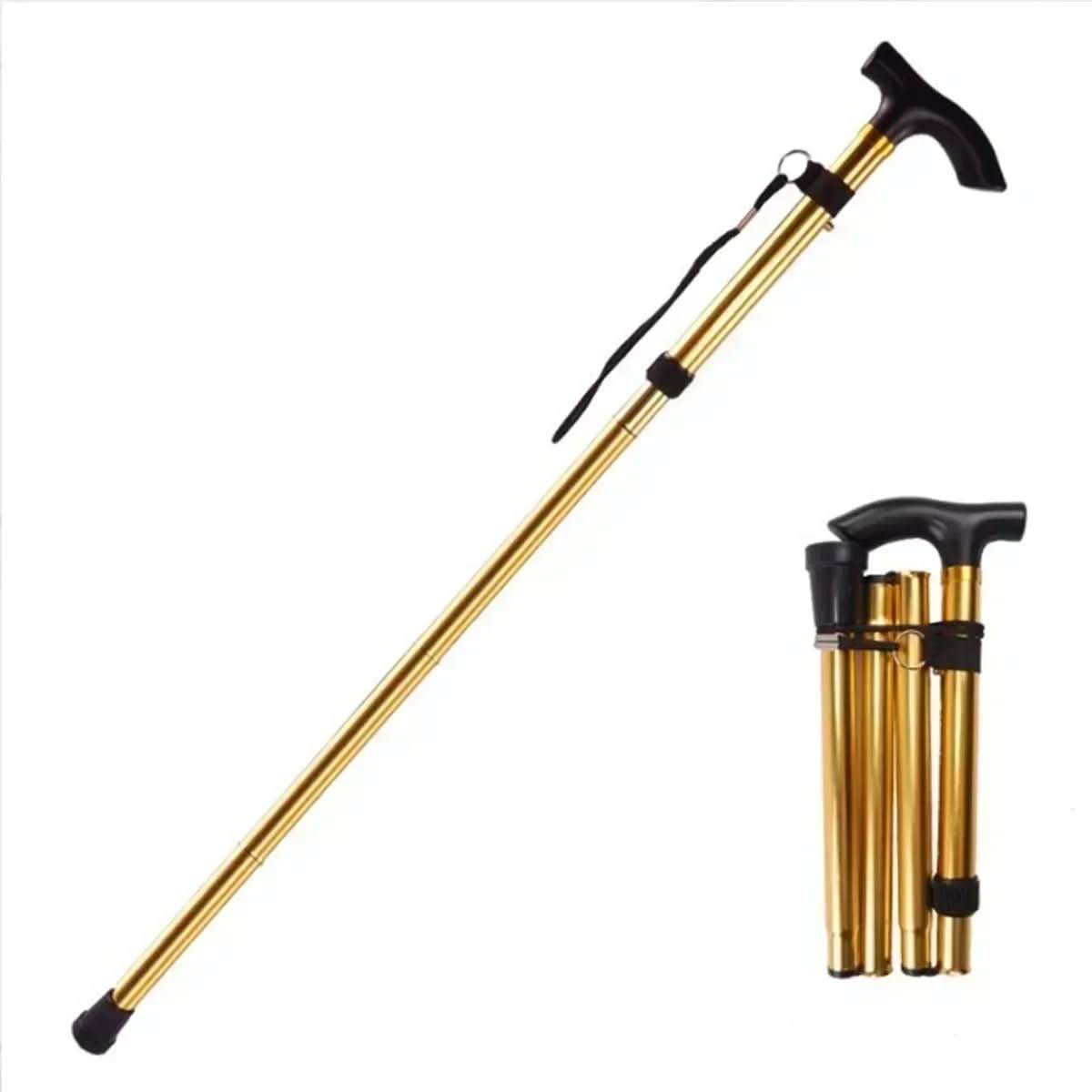 Trekking Pole for Stability - Elevate Gear