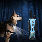 Shock Collar for Dogs - Pawsitive Control