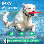 Shock Collar for Dogs - Pawsitive Control