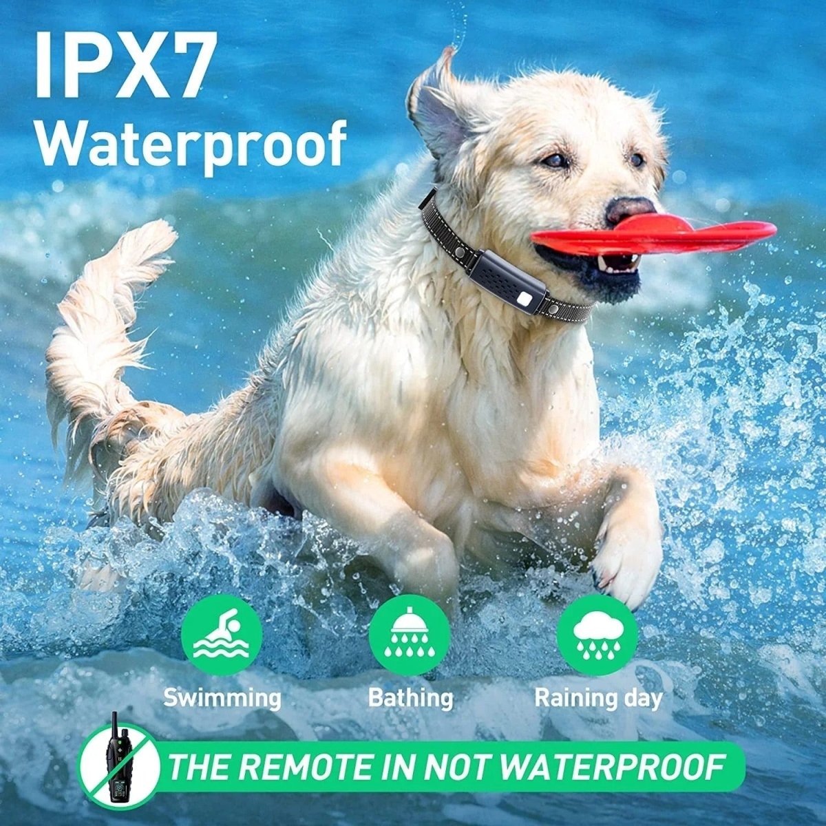 Shock Collar for Dogs - Pawsitive Control