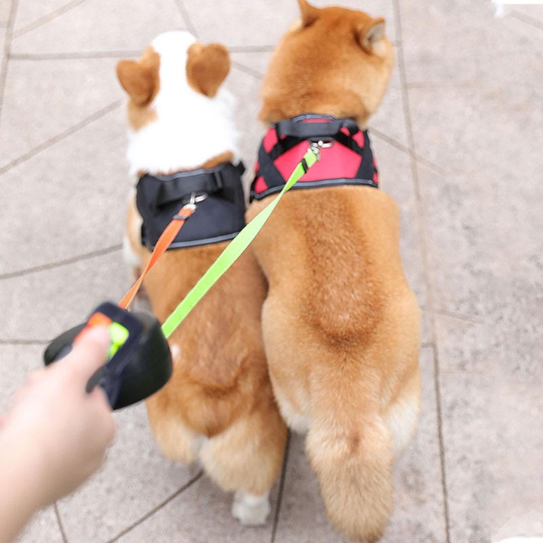 Anti-Wrap Double Dog Lead - LuxePaws