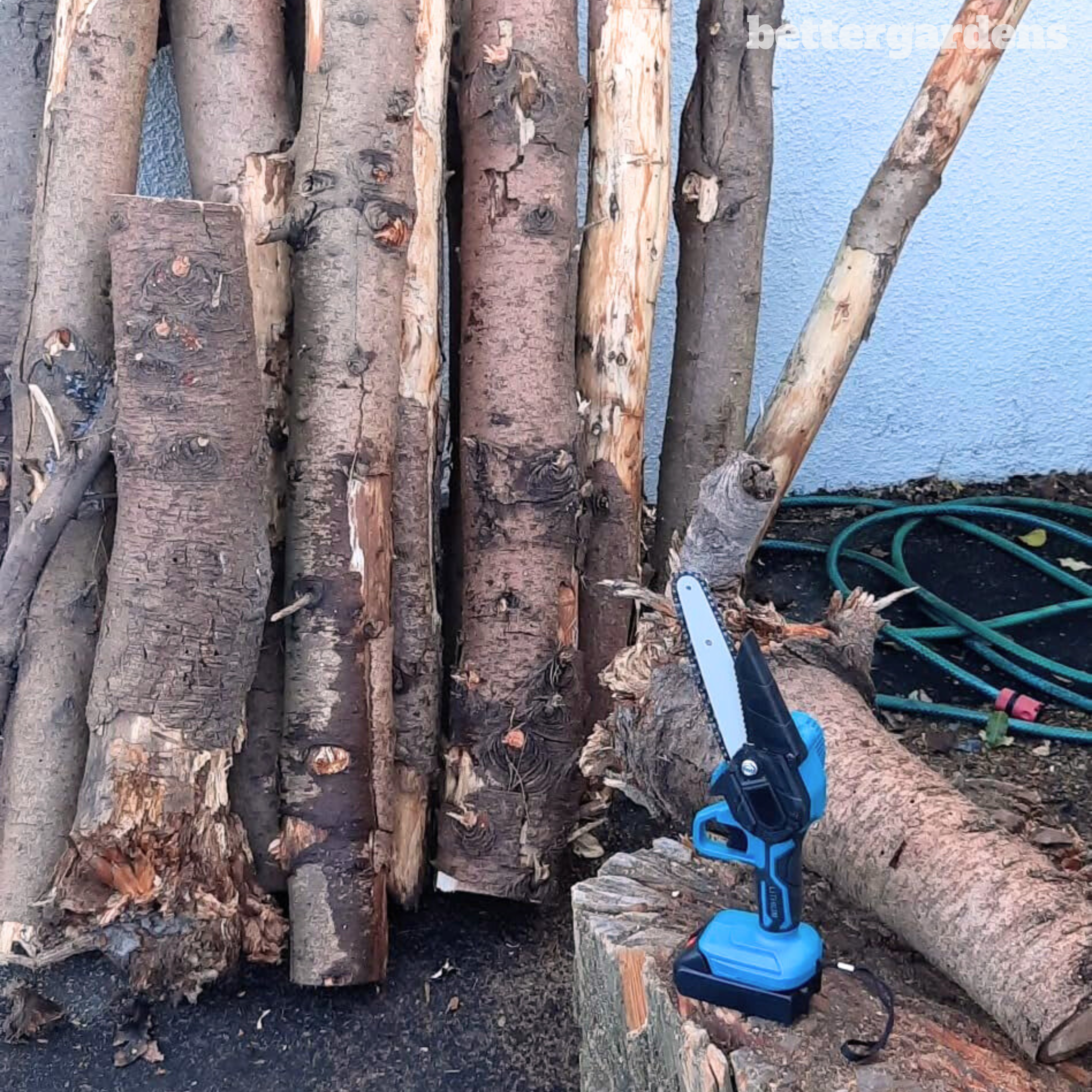 Mini Chainsaw Kit - ArborEdge with 2 Batteries for Easy Trimming