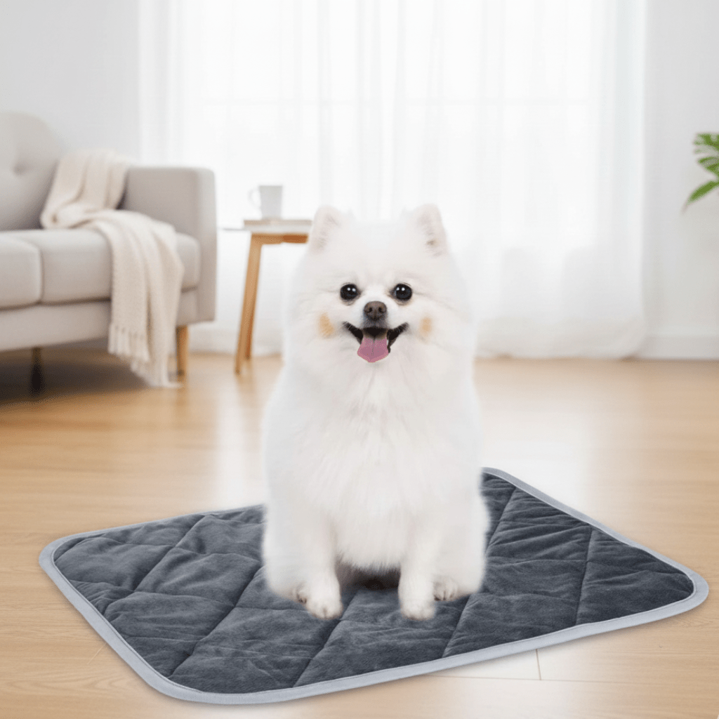 Self-Heating Pet Comfort Mat - CozyNest