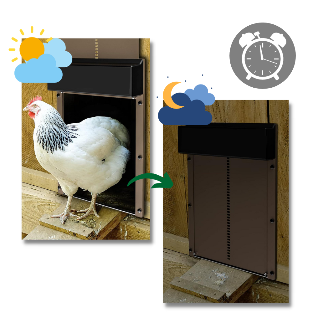 Automatic Chicken Coop Door - CoopGuard