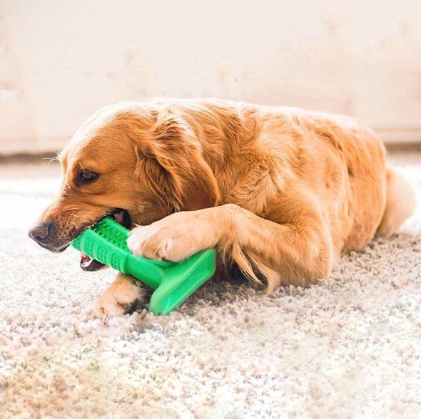 Pet Toothbrush - PurePaws Essentials with Soft Bristles
