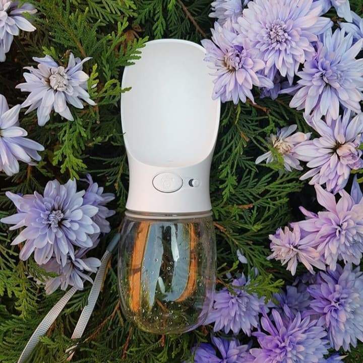 Spillproof Pet Water Bottle - AquaPaws