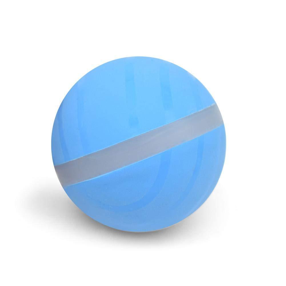 Pet Motion Ball - Pawsitive Play