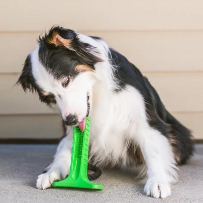 Pet Toothbrush - PurePaws Essentials with Soft Bristles