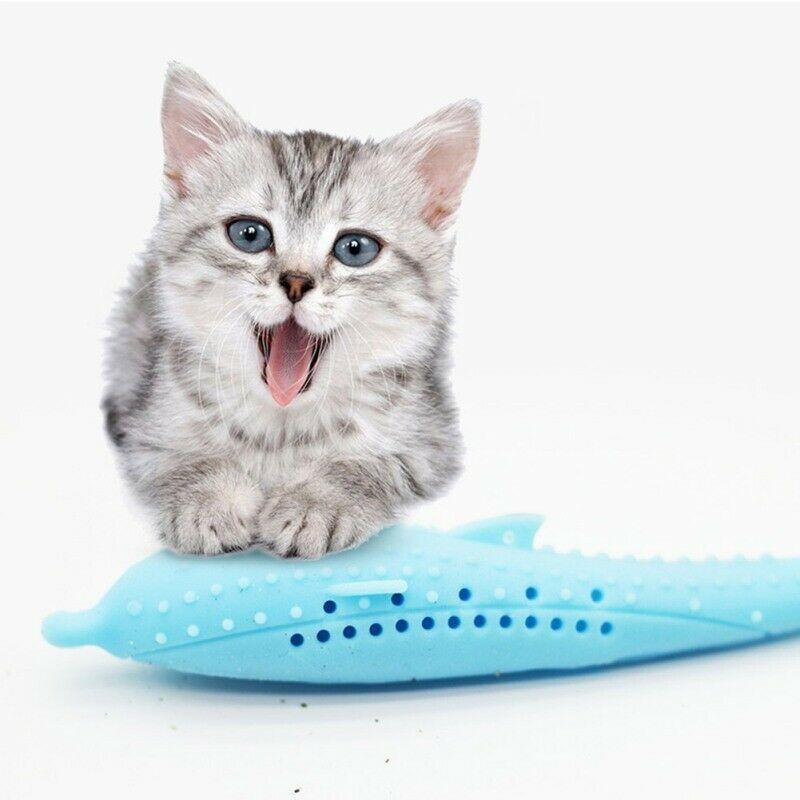 Dental Hygiene Cat Toy - Purrfect Clean
