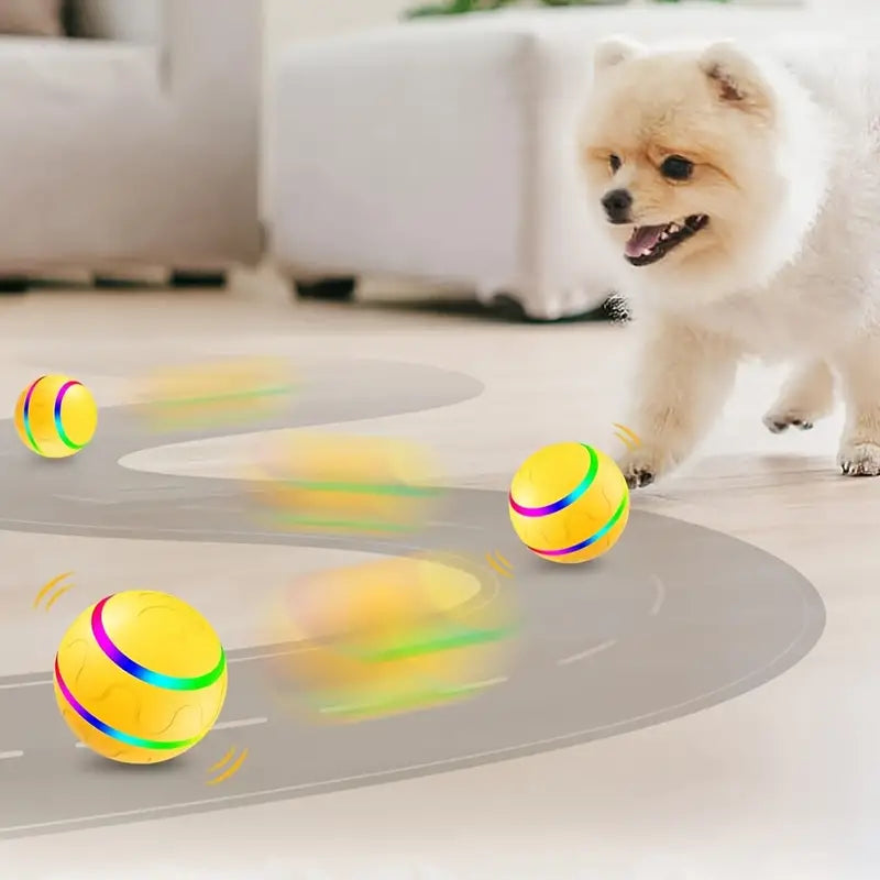 Active Rolling Ball for Pets - Pawsitive Play