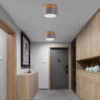 Modern LED Ceiling Light - LumaVista