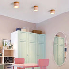 Modern LED Ceiling Light - LumaVista