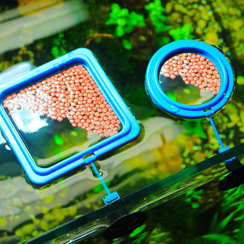 Feeding Ring for Aquariums - AquaLux Essentials