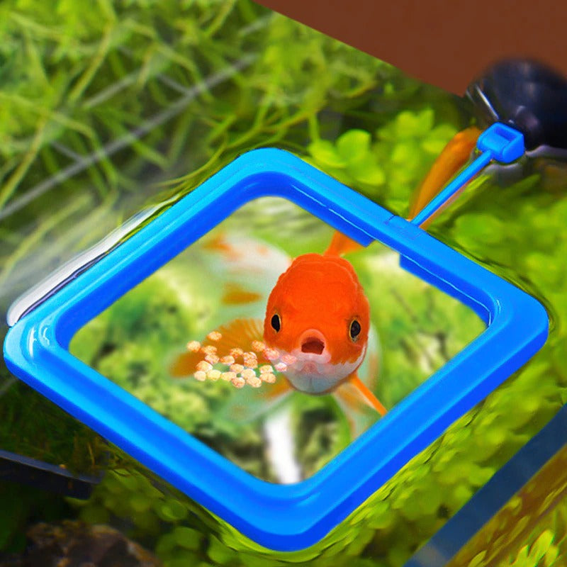 Feeding Ring for Aquariums - AquaLux Essentials