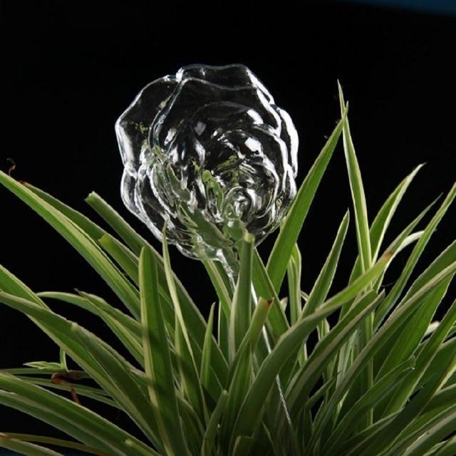 Self-Watering Plant Bulb - Verdant Bloom