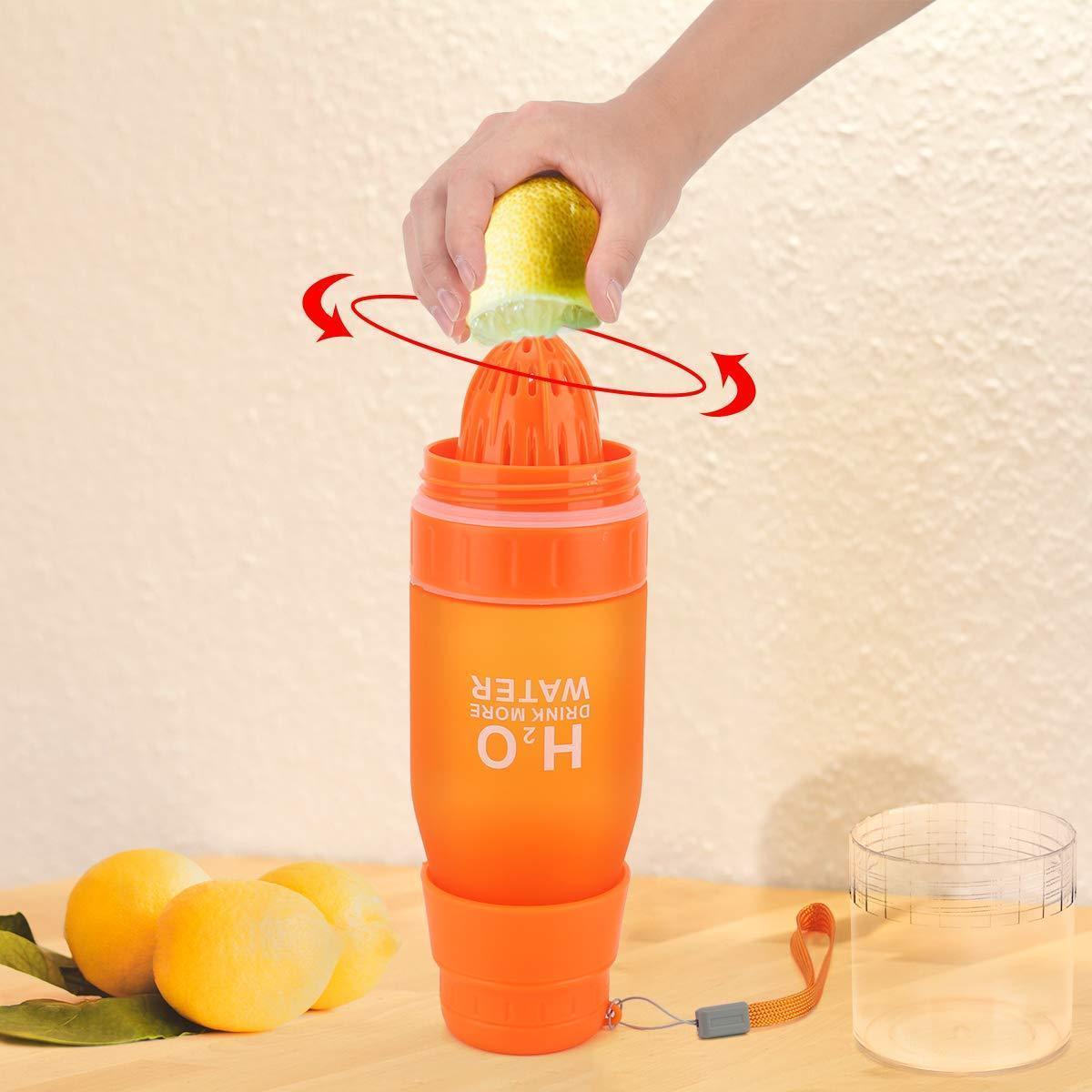 Fruit Infuser Bottle - PureSip