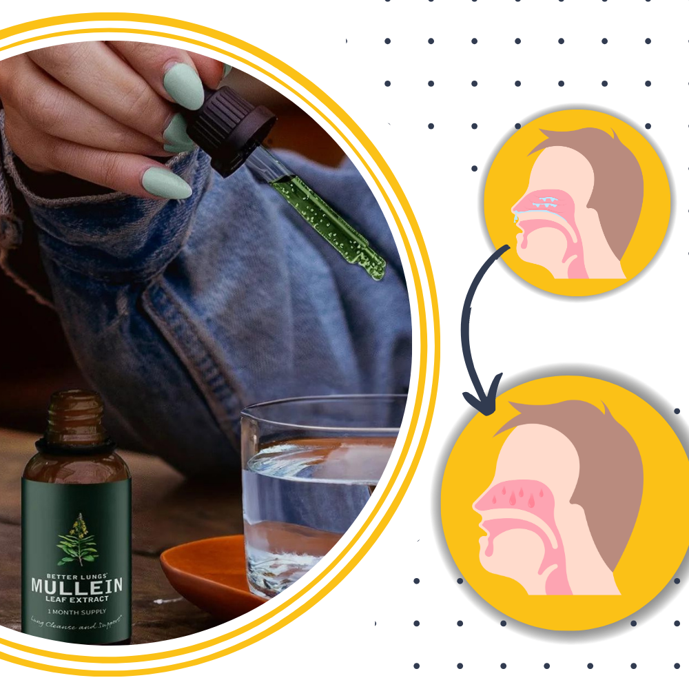 Mullein Tincture for Lung Health - PureVital Naturals
