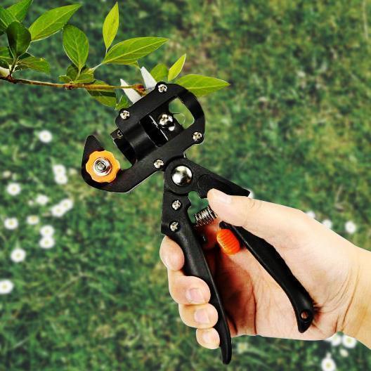 Grafting Pruning Shears - ArborCraft Elite