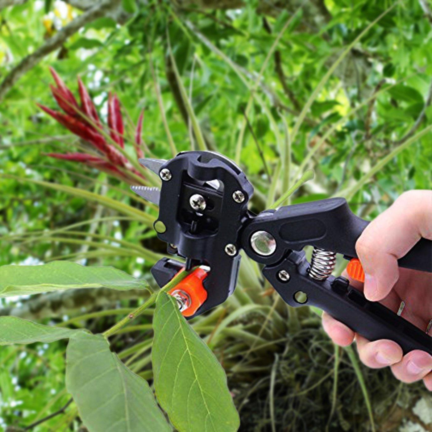 Grafting Pruning Shears - ArborCraft Elite