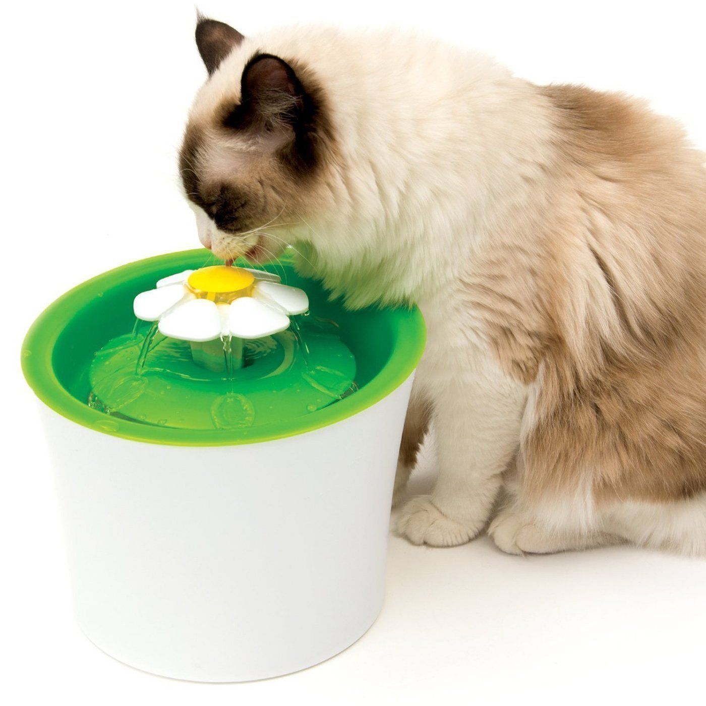 Pet Water Fountain - AquaPure