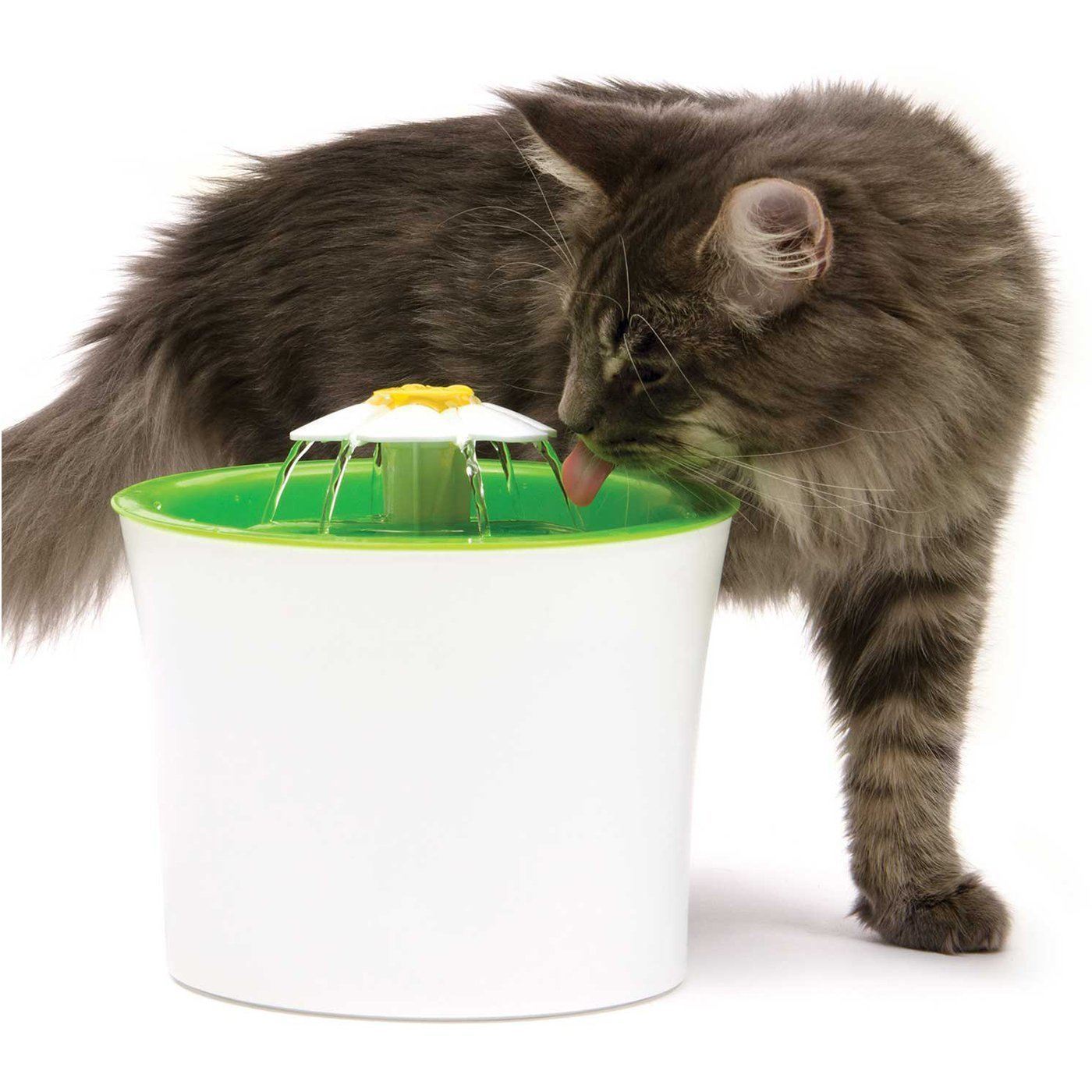 Pet Water Fountain - AquaPure